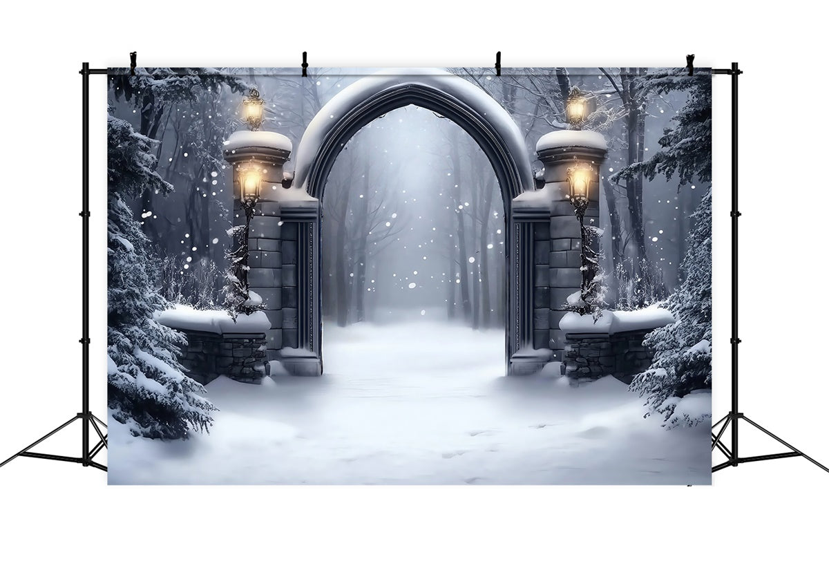 Winter Snow Backdrop Gotisches Schneetor Backdrop MRR7-152