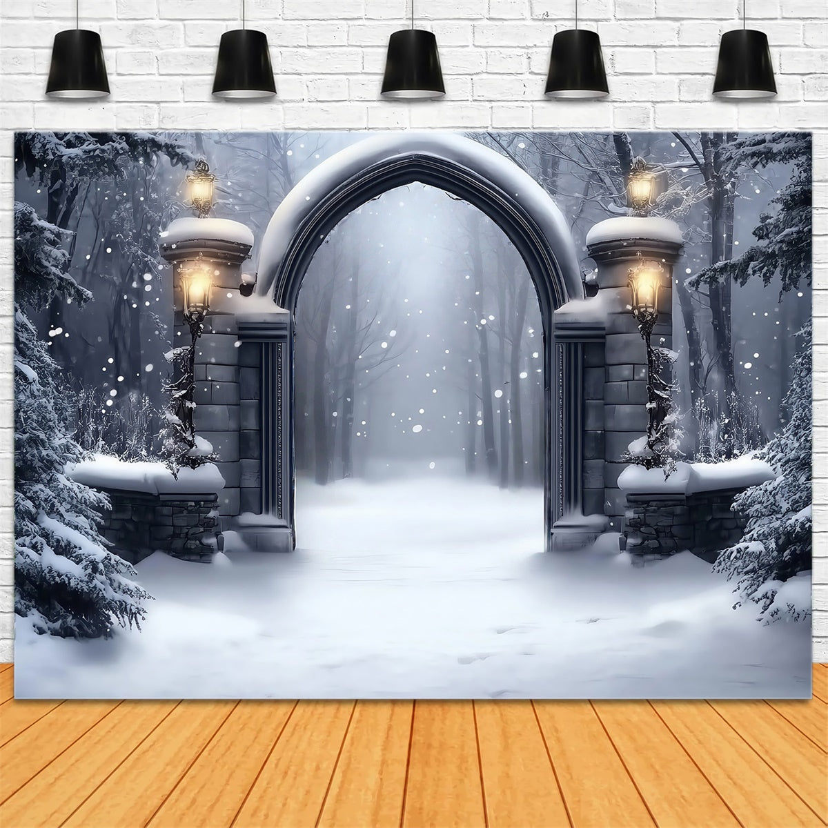 Winter Snow Backdrop Gotisches Schneetor Backdrop MRR7-152