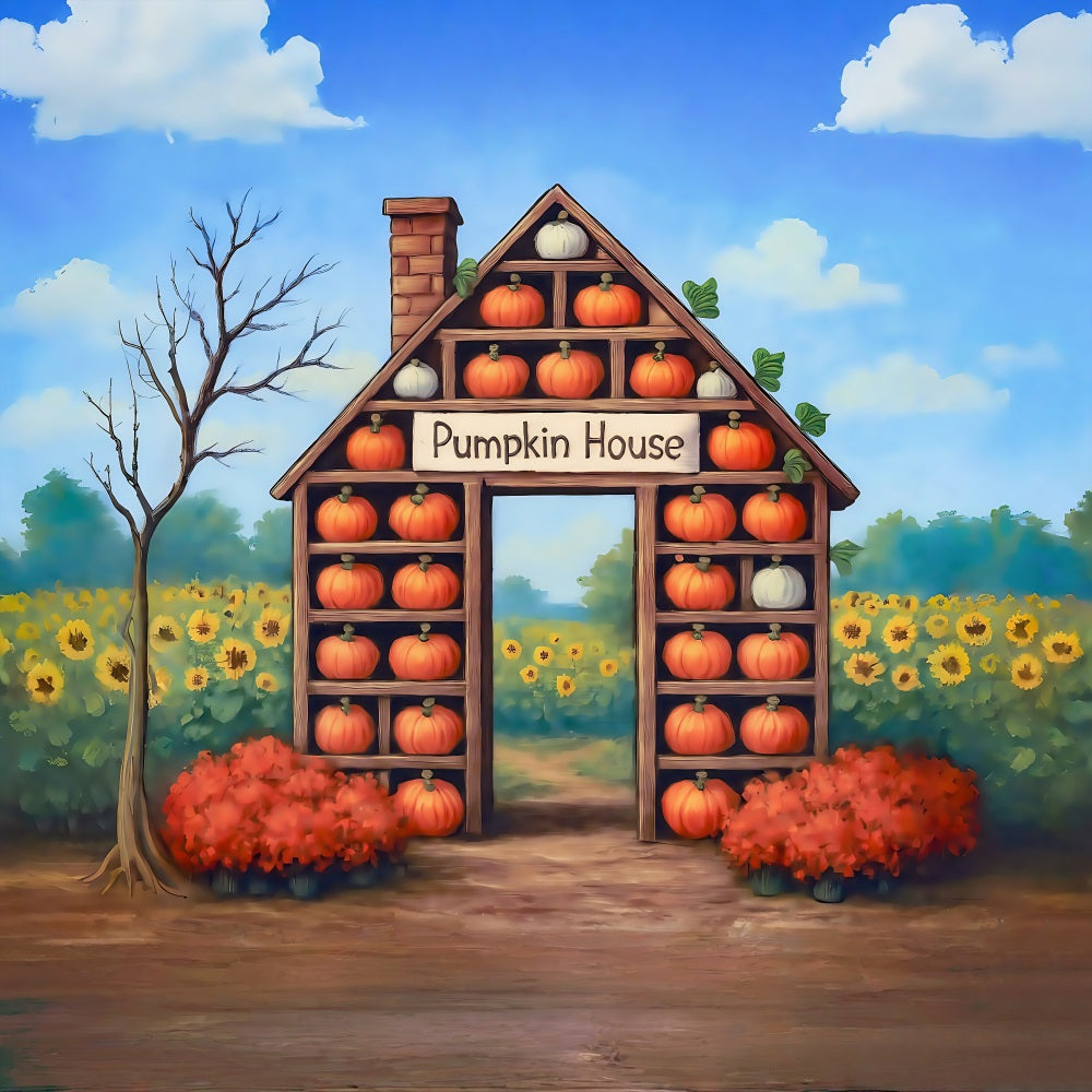 Herbst-Hintergrund Kürbishaus Ernte Sonnenblumen Herbst-Foto-Hintergrund MRR8-271