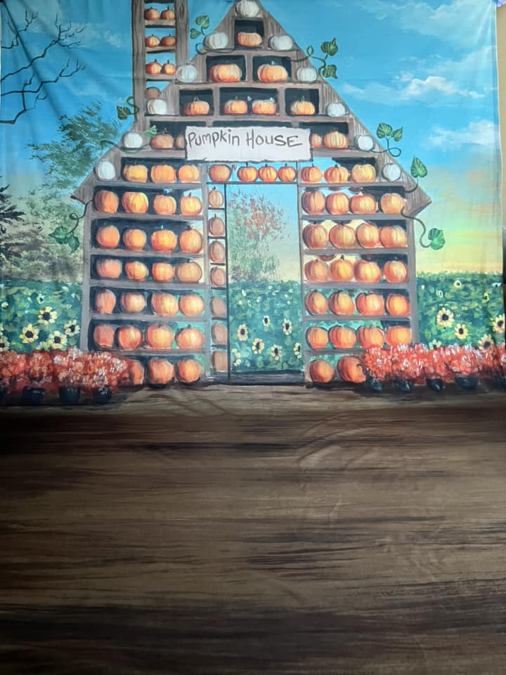 Herbst-Hintergrund Kürbishaus Ernte Sonnenblumen Herbst-Foto-Hintergrund MRR8-271