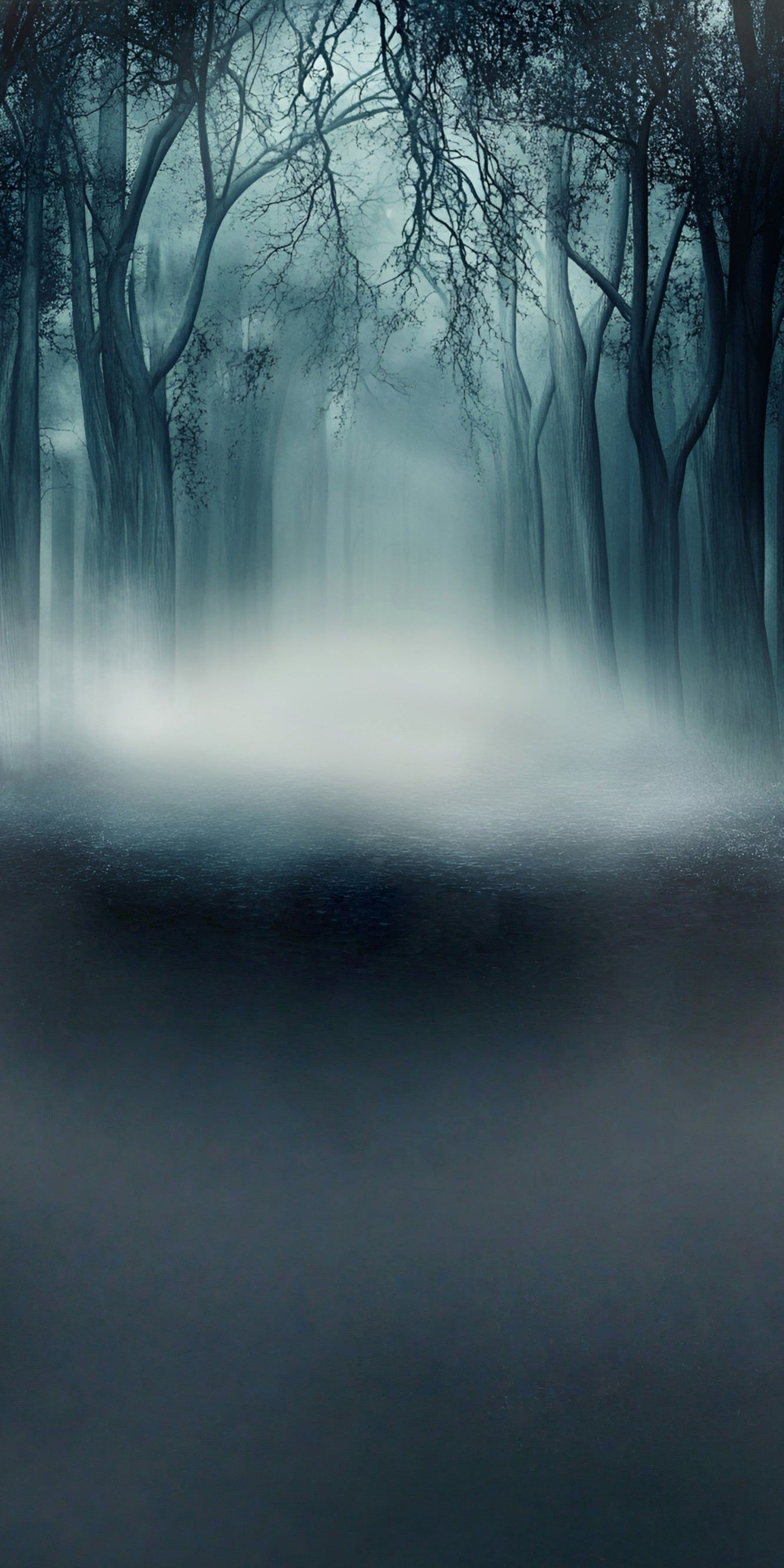 Gruselige Halloween Foto Hintergründe Nebliger Totholz Wald Sweep Hintergrund MRR8-60