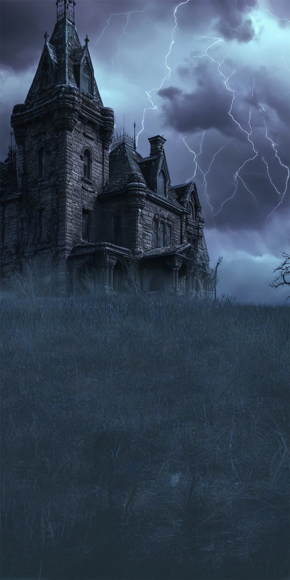 Gespenstische Halloween Foto Kulisse Blitznacht Vintage Backsteinmauer Schloss Sweep Backdrop MRR8-62