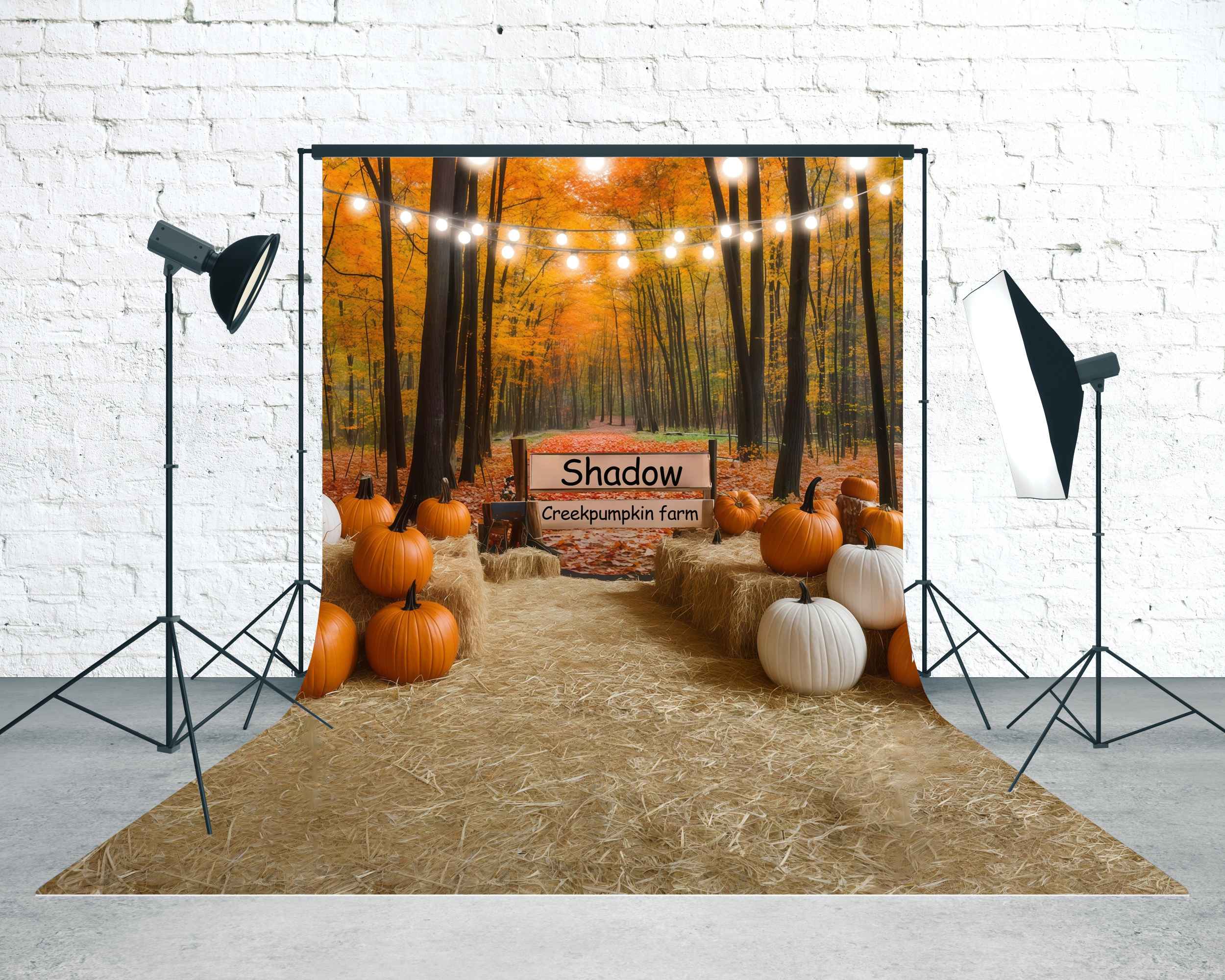 Herbst-Fotohintergrund Shadow Creek Kürbis Farm Sweep-Fotohintergrund MRR8-74