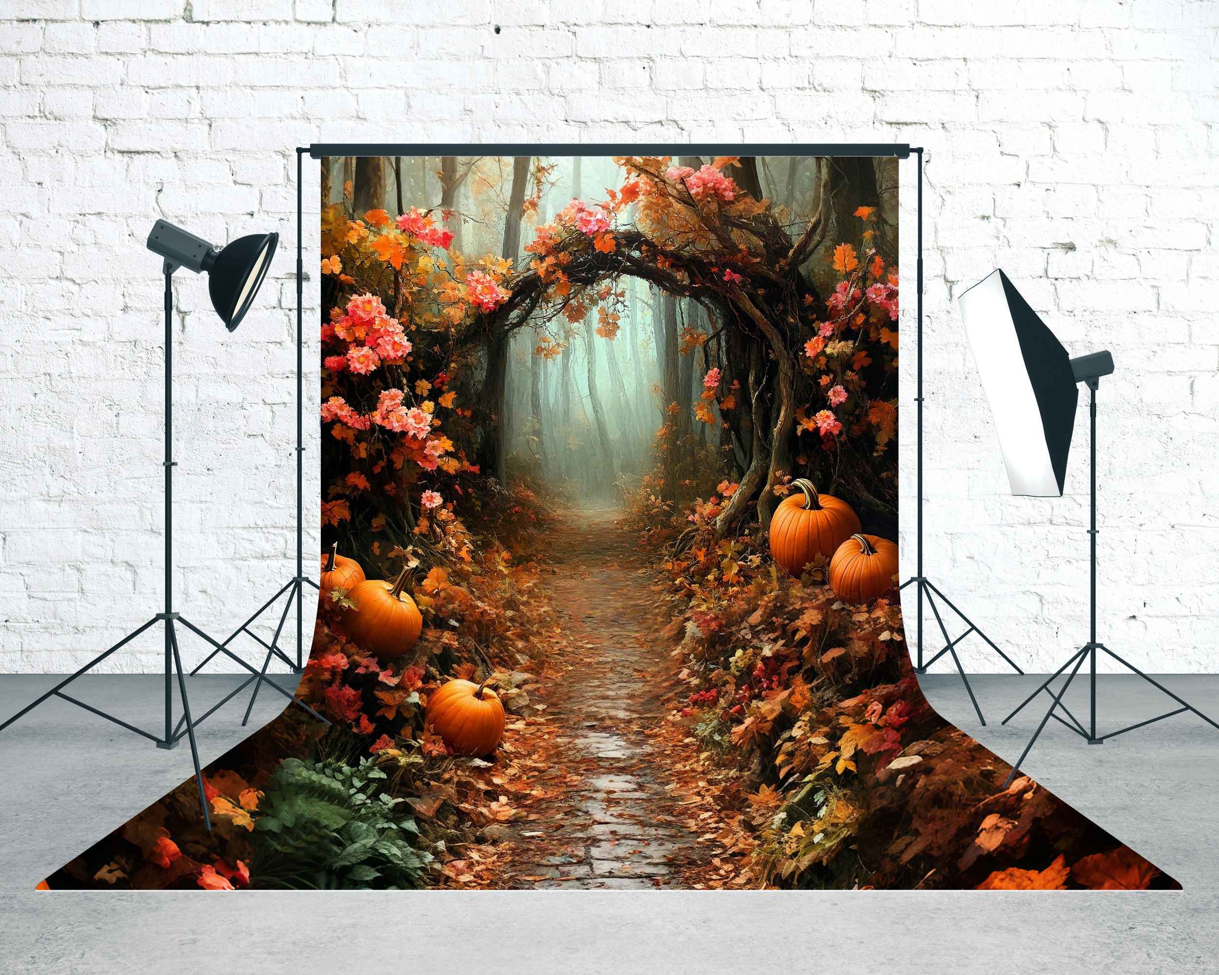 Herbst Herbst Fotohintergrund Kürbis Wald Tunnel Sweep Fotohintergrund MRR8-84