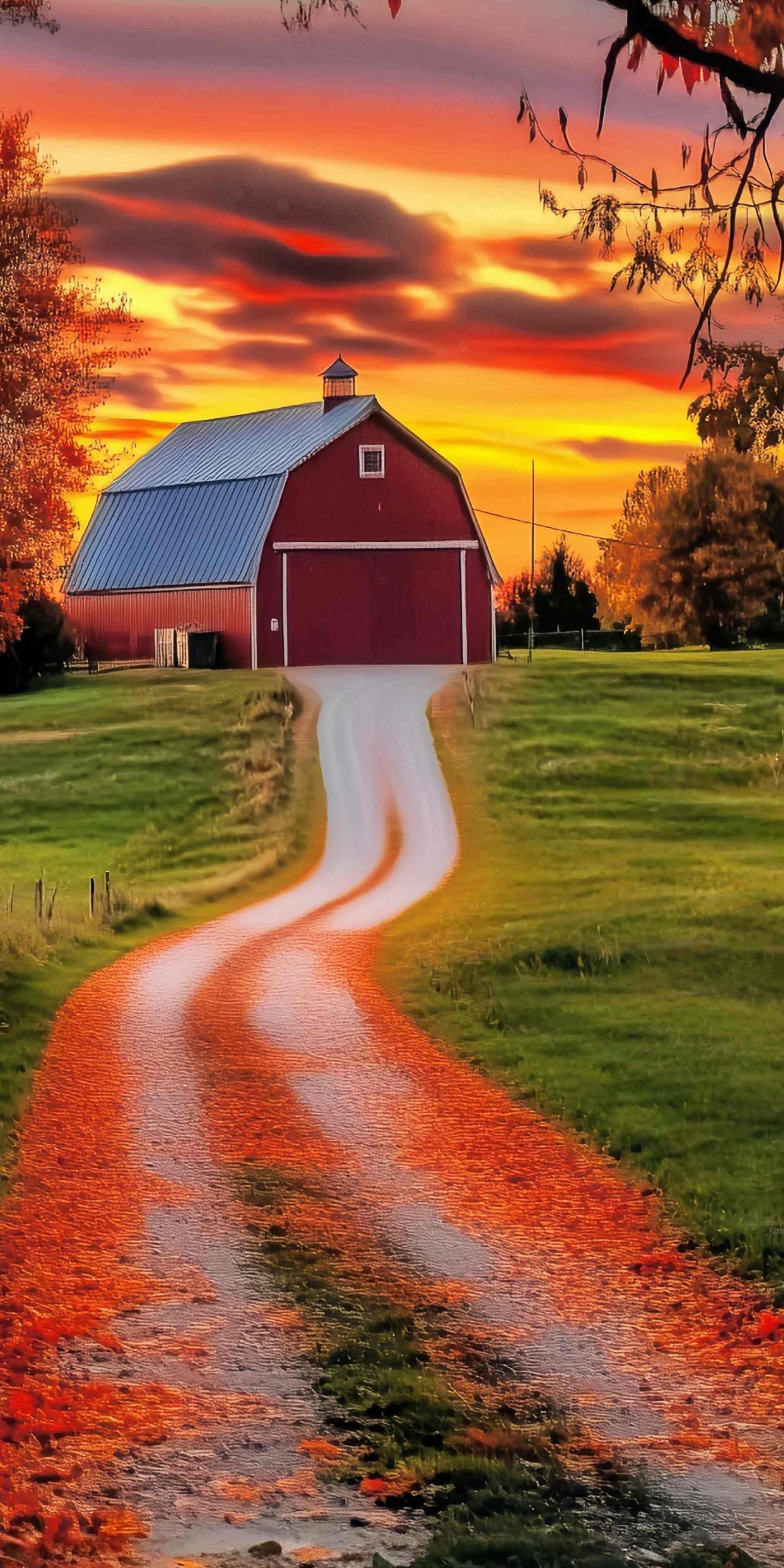 Herbst-Fotohintergrundkulissen Goldener Sonnenuntergang Farm Road Sweep-Fotohintergrund MRR8-94