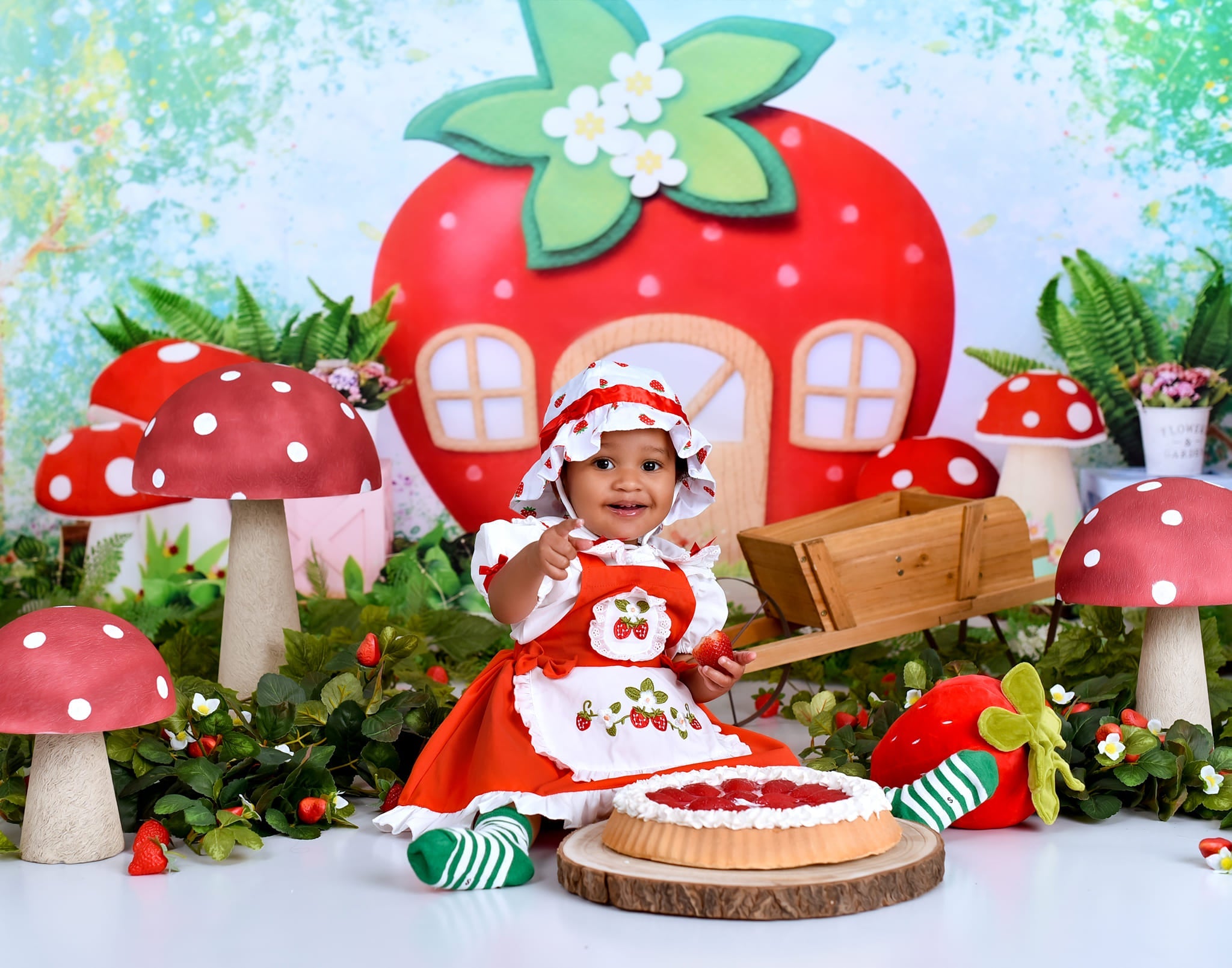 Kinder-Hintergründe Erdbeerhaus Feengarten Neugeborenen-Fotohintergrund MRR9-12