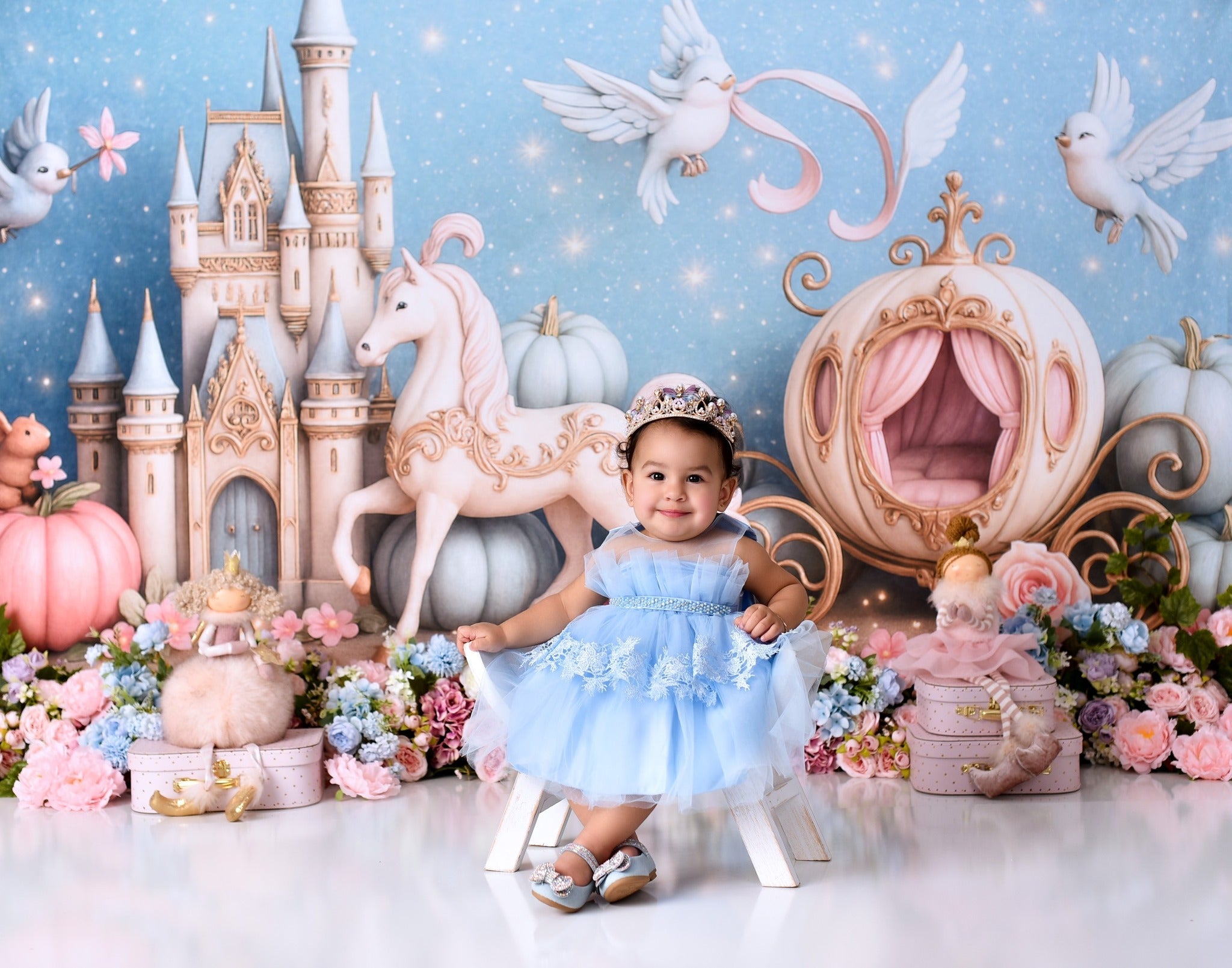 Schloss-Fotohintergrund Märchenschloss Kutsche Neugeborenen-Foto-Fotohintergrund MRR9-16