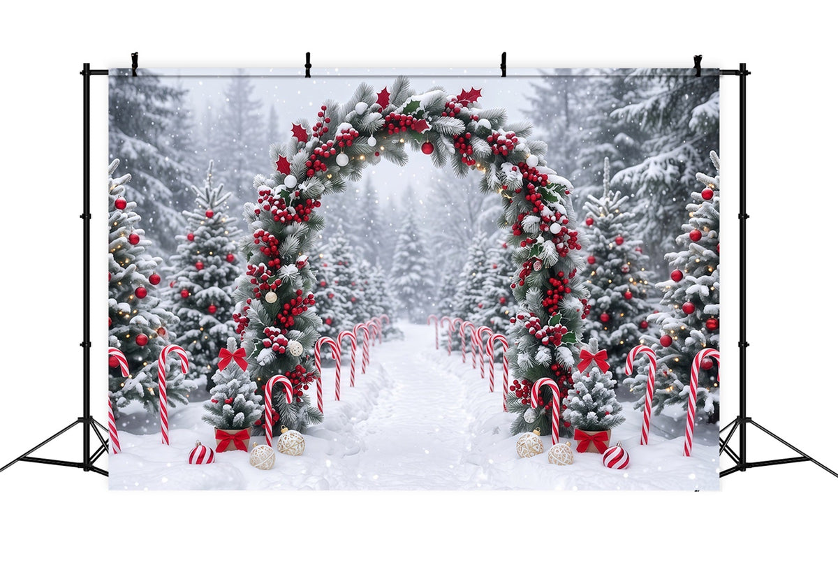 Weihnachtlicher Fotohintergrund Verschneiter Beeren-Girlandenbogen RR610-125