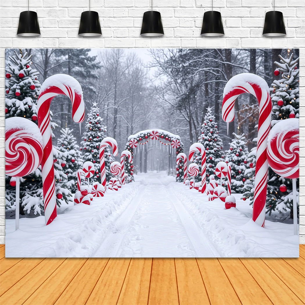 Weihnachtlicher Zuckerstangen-Hintergrund Verschneiter Waldweg RR610-126
