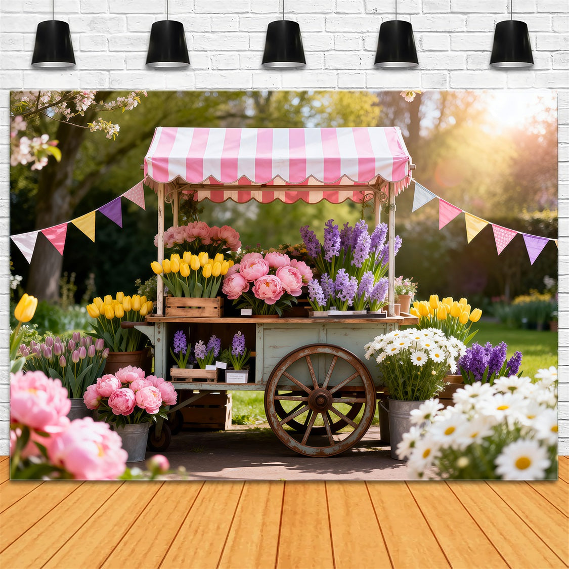 Gänseblümchen-Blumen-Hintergrund Frühlingsblumenmarkt-Karren Frühlings-Foto-Hintergrund-Ideen RR62-32
