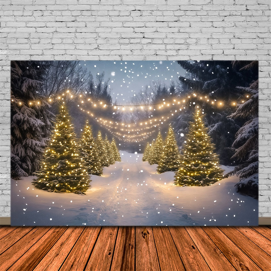 Weihnachtswunderland-Kulisse Lichtpfad Im Verschneiten Wald Weihnachtshintergründe Für Den Innenbereich RR68-91