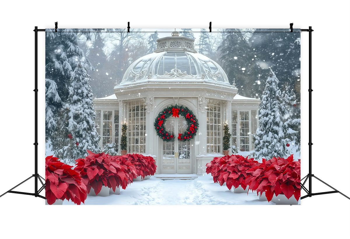 Verschneite Weihnachtskulisse Weihnachtssterngarten Im Wintergarten Weihnachtshintergrund Für Fotografie RR69-12