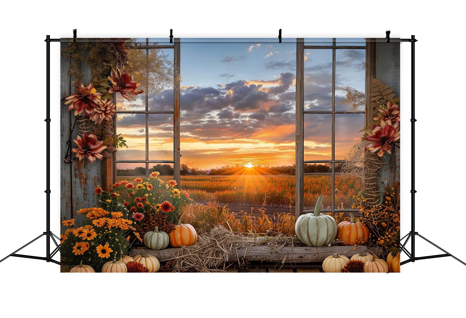 Herbst Kürbisse Sonnenuntergang Fensterlandschaft Hintergrund RR7-151