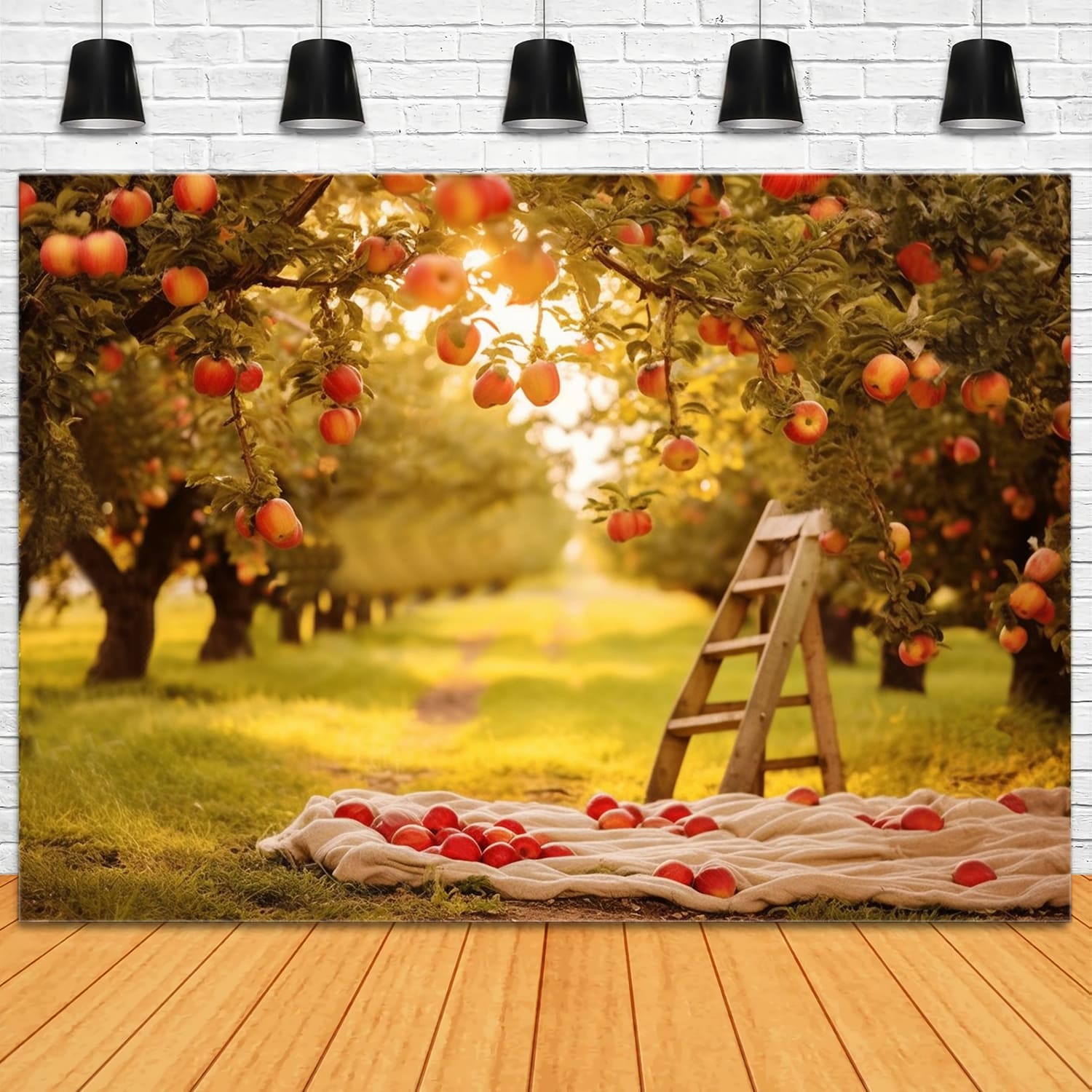 Herbst Apfelbäume Feld Sonnenschein Hintergrund RR7-153