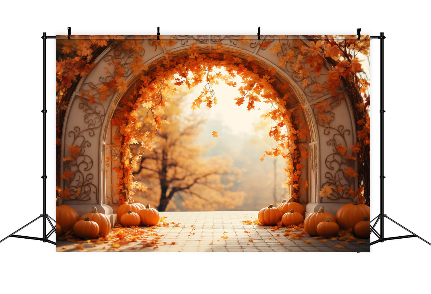 Ahornblätter Bogen Kürbisse Herbst Hintergrund RR7-178