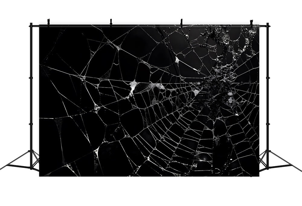 Halloween Spinnennetz Fotohintergrund RR7-482