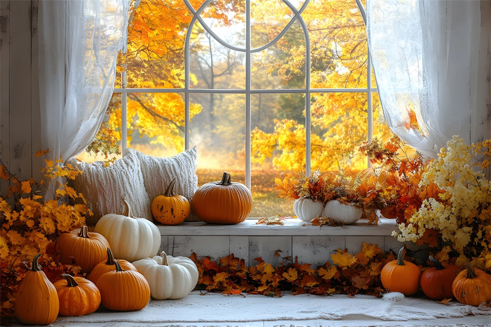 Herbst Kürbisse Fenster Ahornbäume Ansicht Backdrop RR9-4