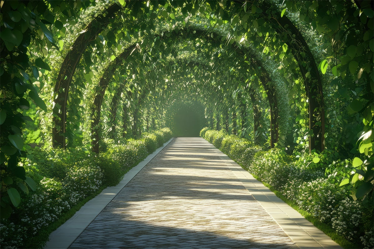 Frühling Fotohintergrund Ruhiger Laubbogenweg Hintergrund TWW2-31