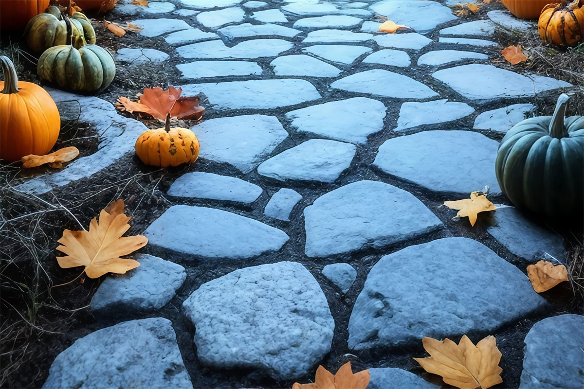 Backdrop Boden Dämmerung Kürbis Pfad Boden Backdrop TWW57-14