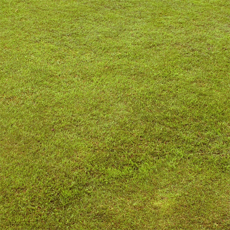 Fotokulisse Boden Pastellgrünes Gras Bodenkulisse TWW57-3