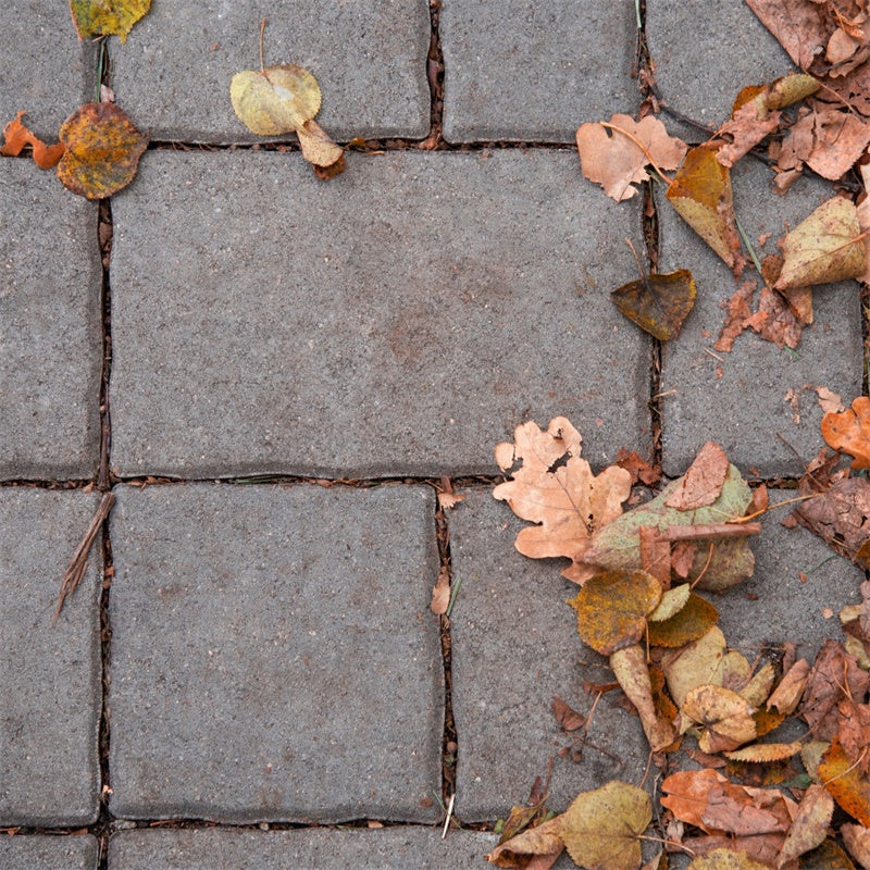Fotografie Boden Backdrops Herbstblätter Backsteinboden Backdrop TWW57-7