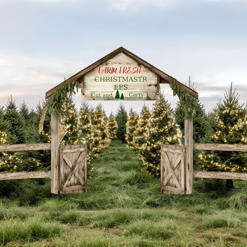 Weihnachtsbauernhof Fotohintergrund Bauernhof Frischer immergrüner Weg Professionelle Weihnachtshintergründe TWW59-124