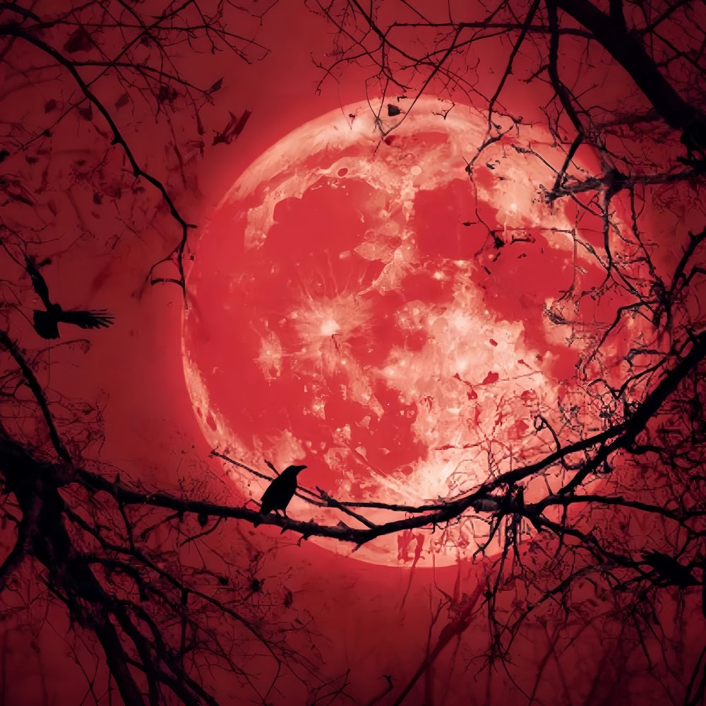 Halloween-Mond-Fotohintergrund Blutiger Mond Raben-Silhouette Halloween-Hintergründe TWW59-83