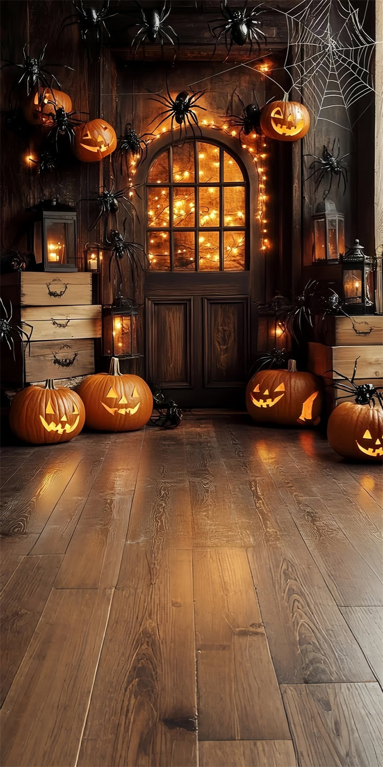 Halloween Fotohintergrund Kürbis Spinne Veranda Sweep Backdrop TWW6-76