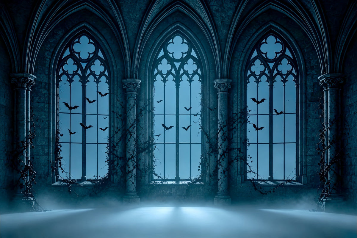 Vampir-Hintergrund Neblige Gotische Bogenfenster Halloween-Party-Fotohintergrund-Ideen ZTT67-59