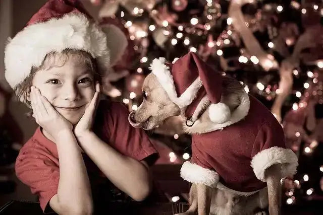 Led Dekorative warmes farbige Lichter Stern Weihnachten Raumbeleuchtung Batteriebox BP1692