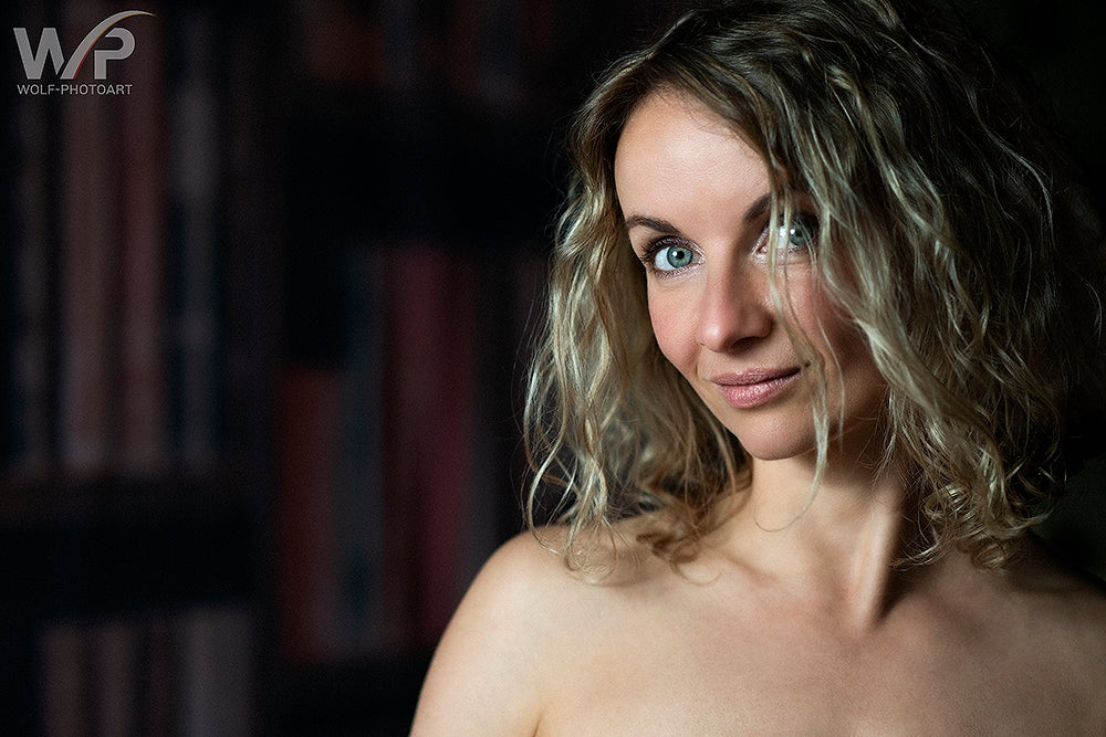 Bücherregal Studierzimmer Bibliothek Zurück in die Schule Themenhintergründe DBD-19341