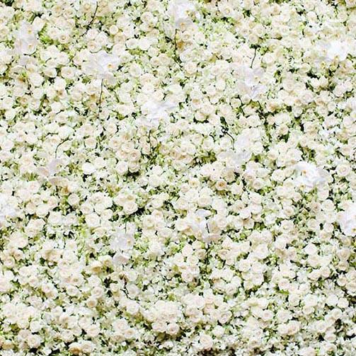 Weiße Blumen Wandfoto-Hintergründe G-182