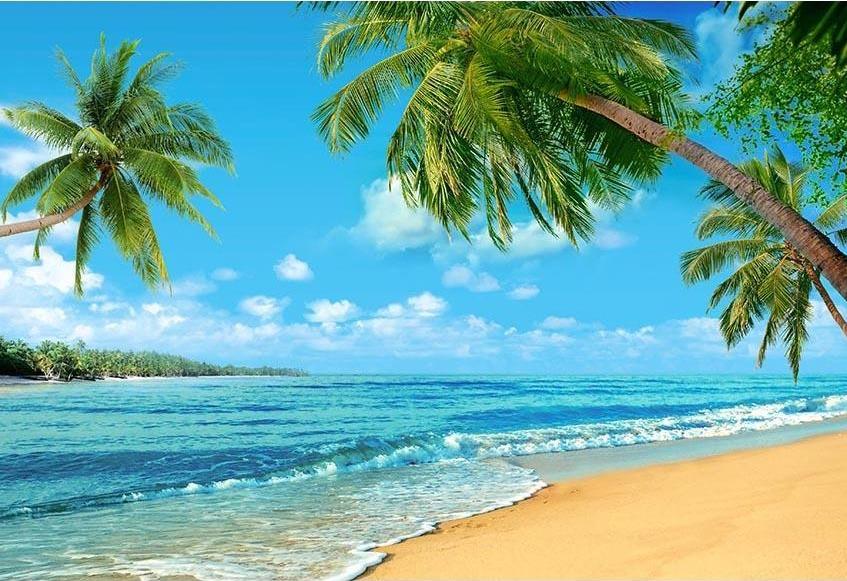 Summer Sea Beach Blue Sky Photo Backdrop G-502