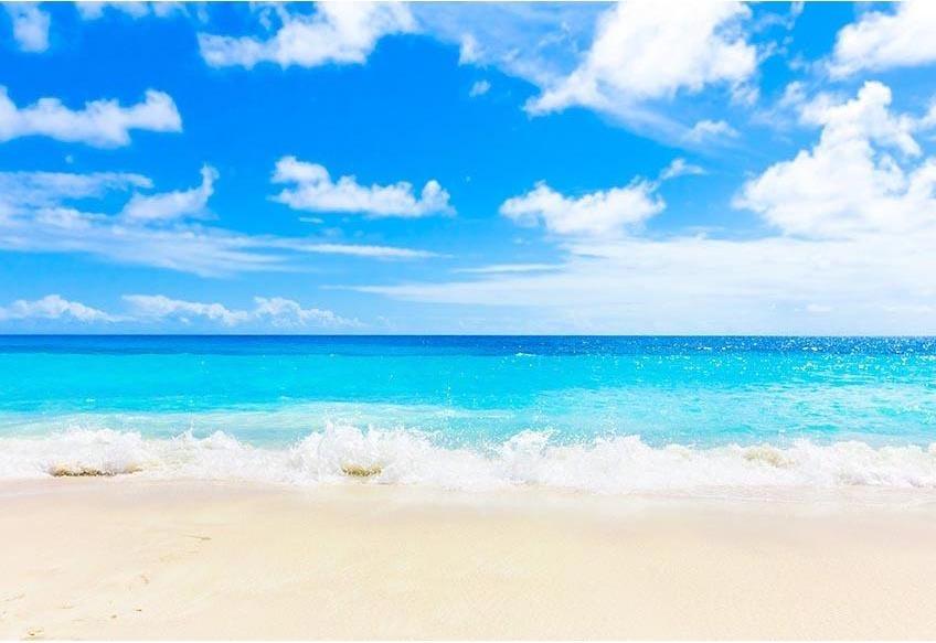 Ocean Beach Blue Sky Backdrop for Holiday Party G-512