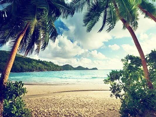 Summe Sea Sky Beach Photo Booth Backdrop GA-46