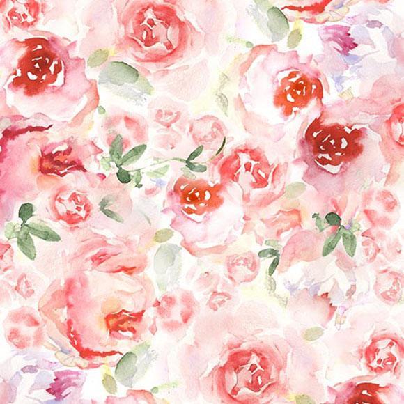 Gemusterte Hintergründe Blumenhintergründe Rote Rose Hintergründe S-2999