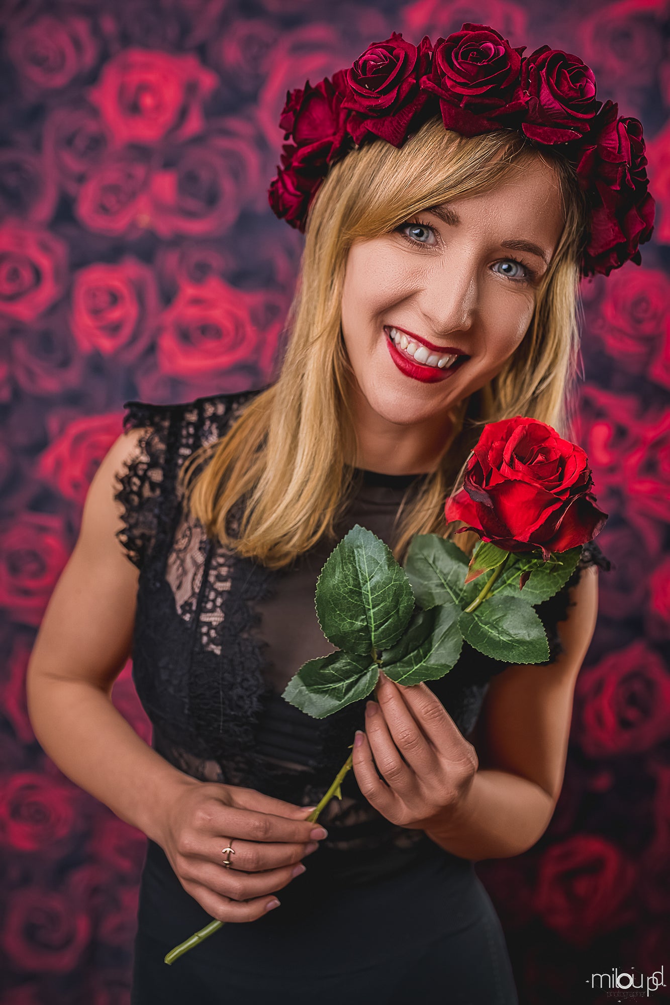 Blumen Hintergrund Roter Hintergrund S-3171