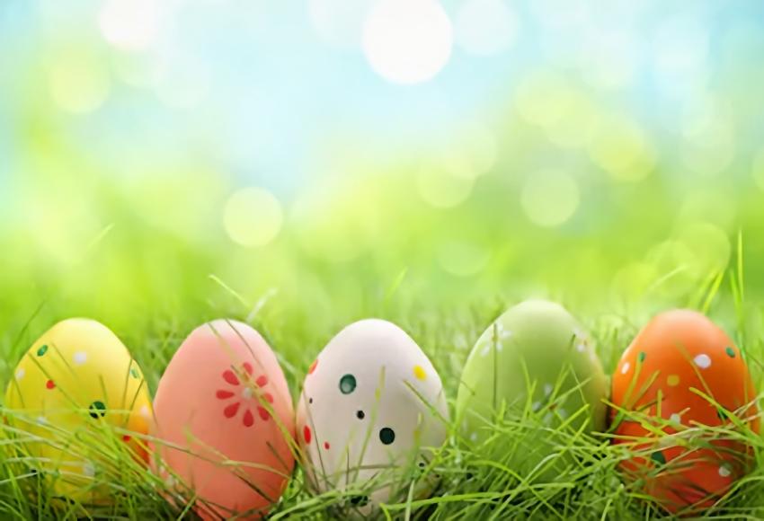 Easter Photography Backdrop Spring Green Grass Bokeh Background SH025