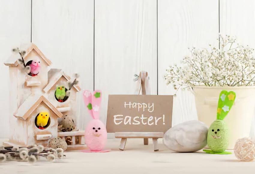 Happy Easter Day Bunny Easter Eggs Backdrop for Photography SH200