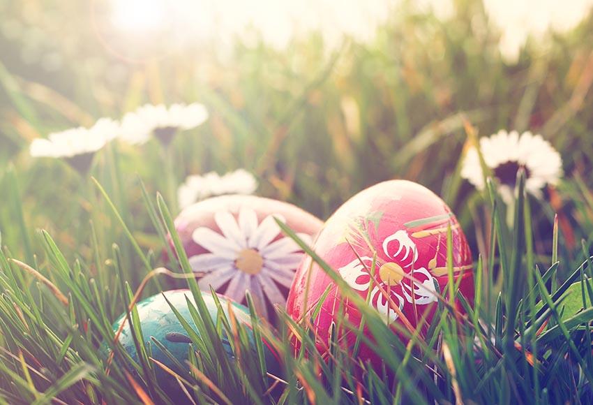 Easter Eggs Spring Grass Backdrop for Photography LV-1699