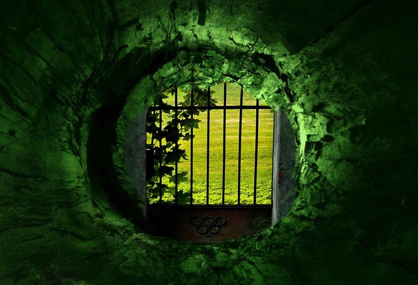 Green Cave Backdrop for Photography LV-839