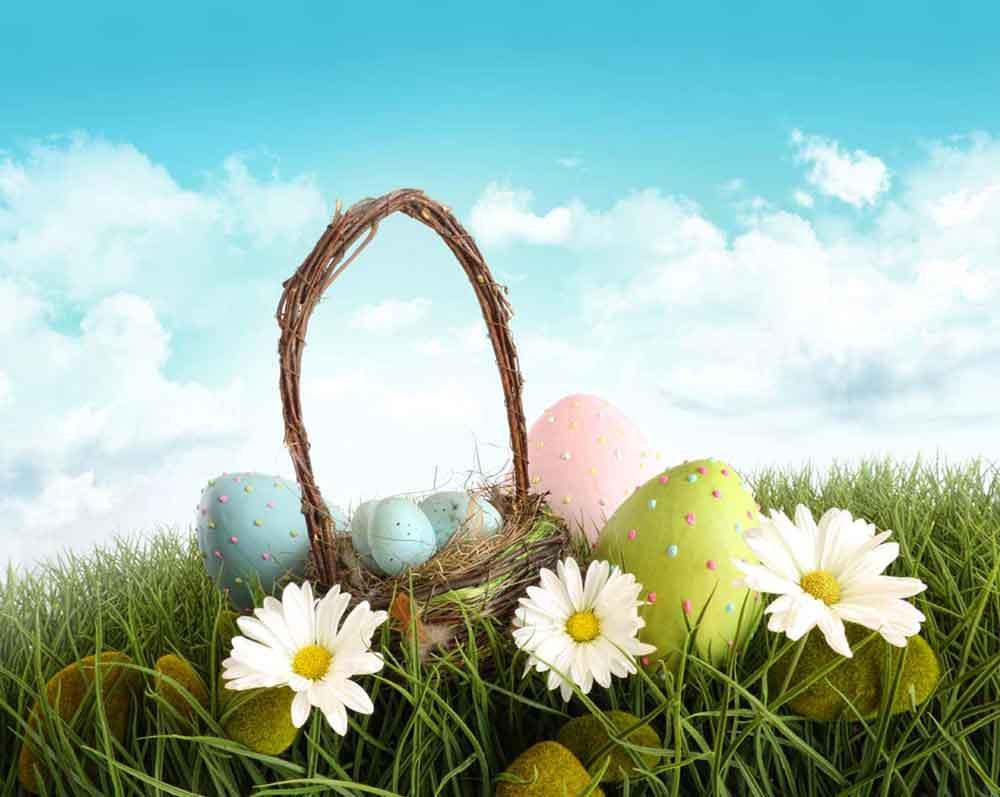 Easter Eggs Spring Flower Backdrop for Photography zzj7-E