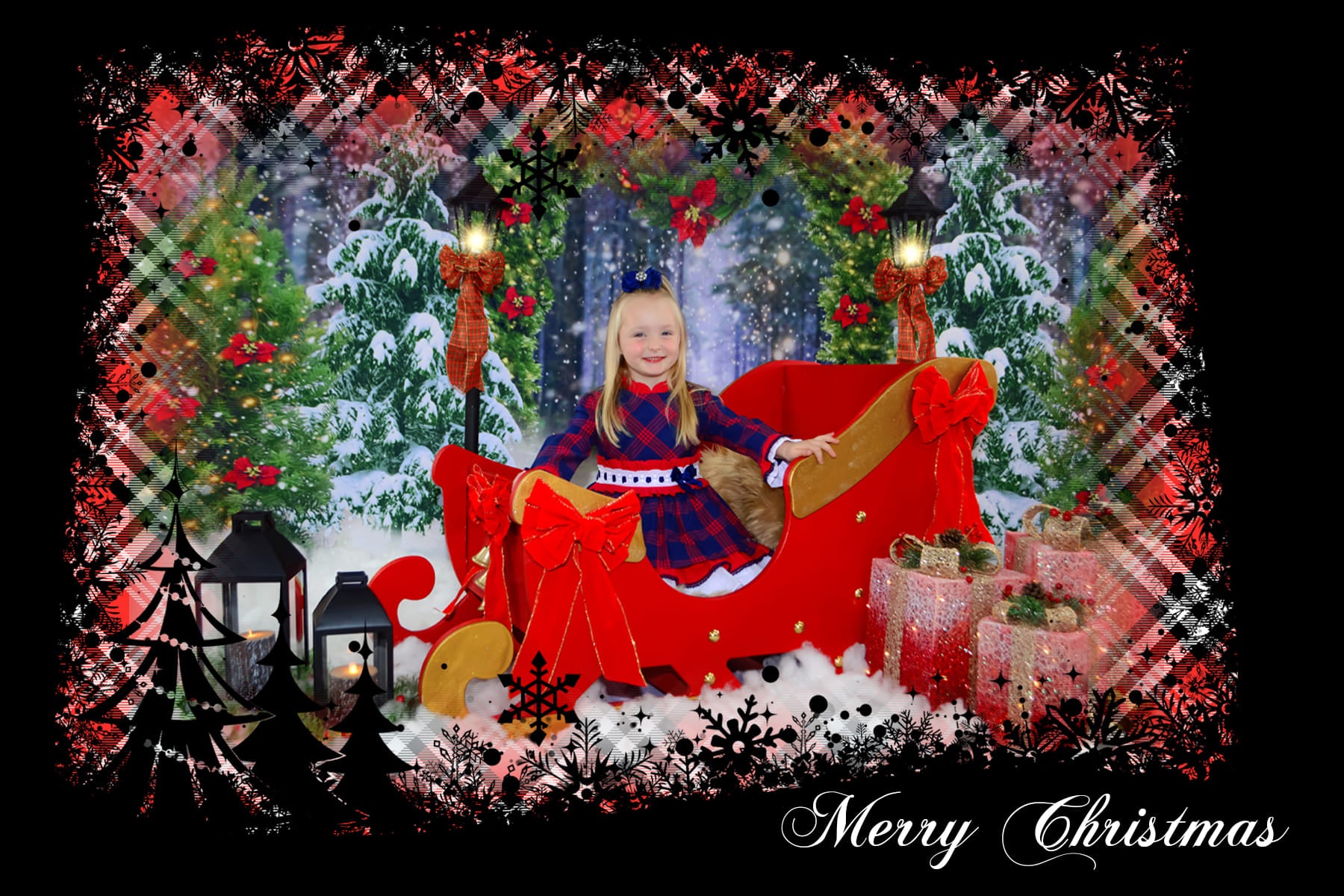 Winterwald-Weihnachtsbaum-Bogen-Hintergrund D972