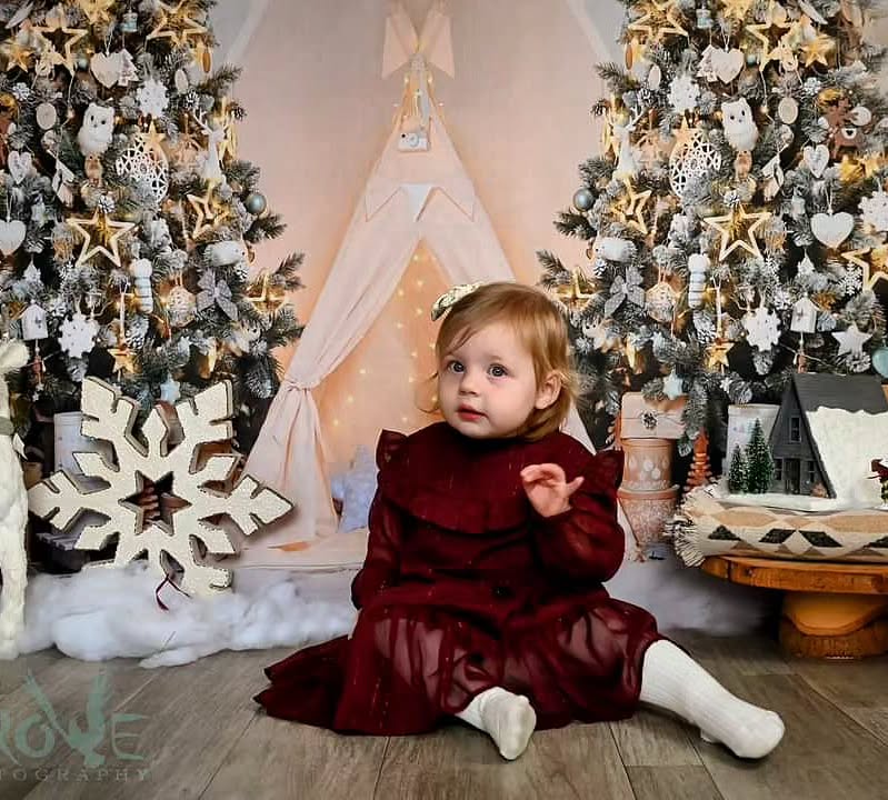 Weihnachtsbaum Winziges Zelt Fotografie Hintergrund D984