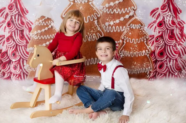 Weihnachtslebkuchen-Wald-Fotografie-Hintergrund-D913