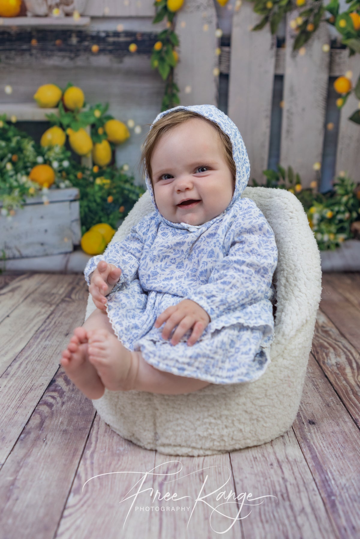 Frühlings Sommer Zitronenbaum Scheunen Hintergrund D1061
