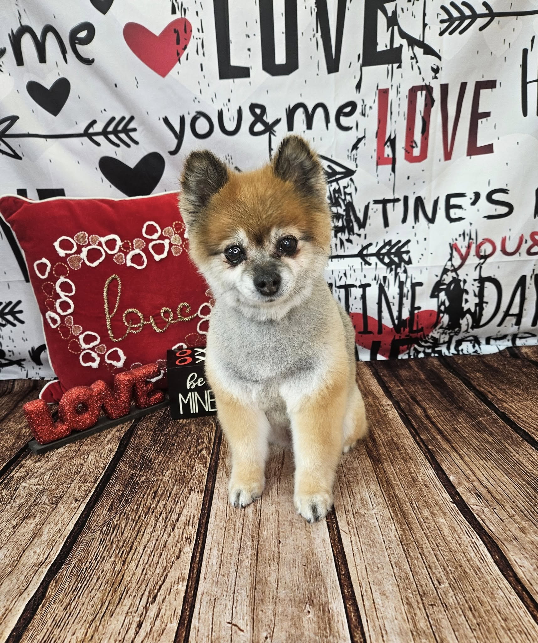 Valentinstag Amors Pfeil Romantischer Text Graffiti Wand Holzboden Hintergrund M12-19