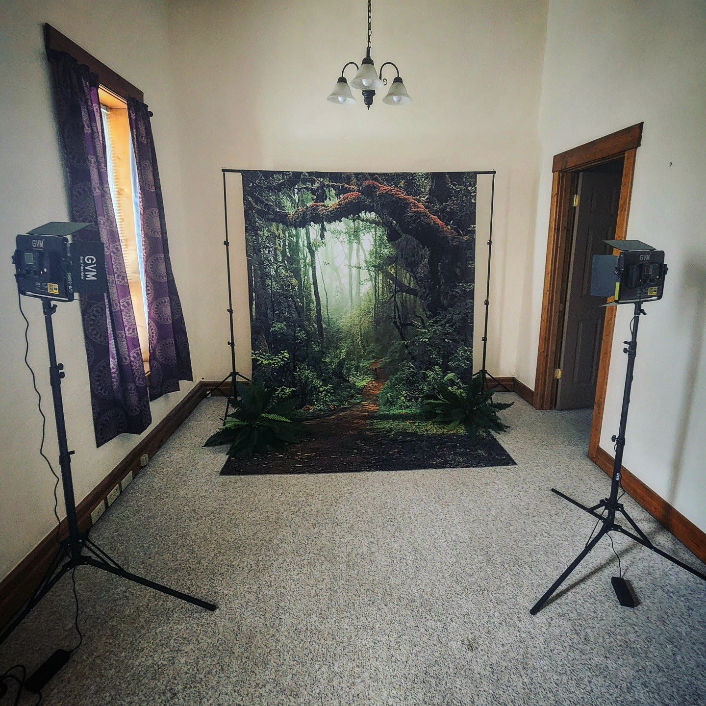 Wald Großer Baum Straße Fotografie Hintergrund G-477