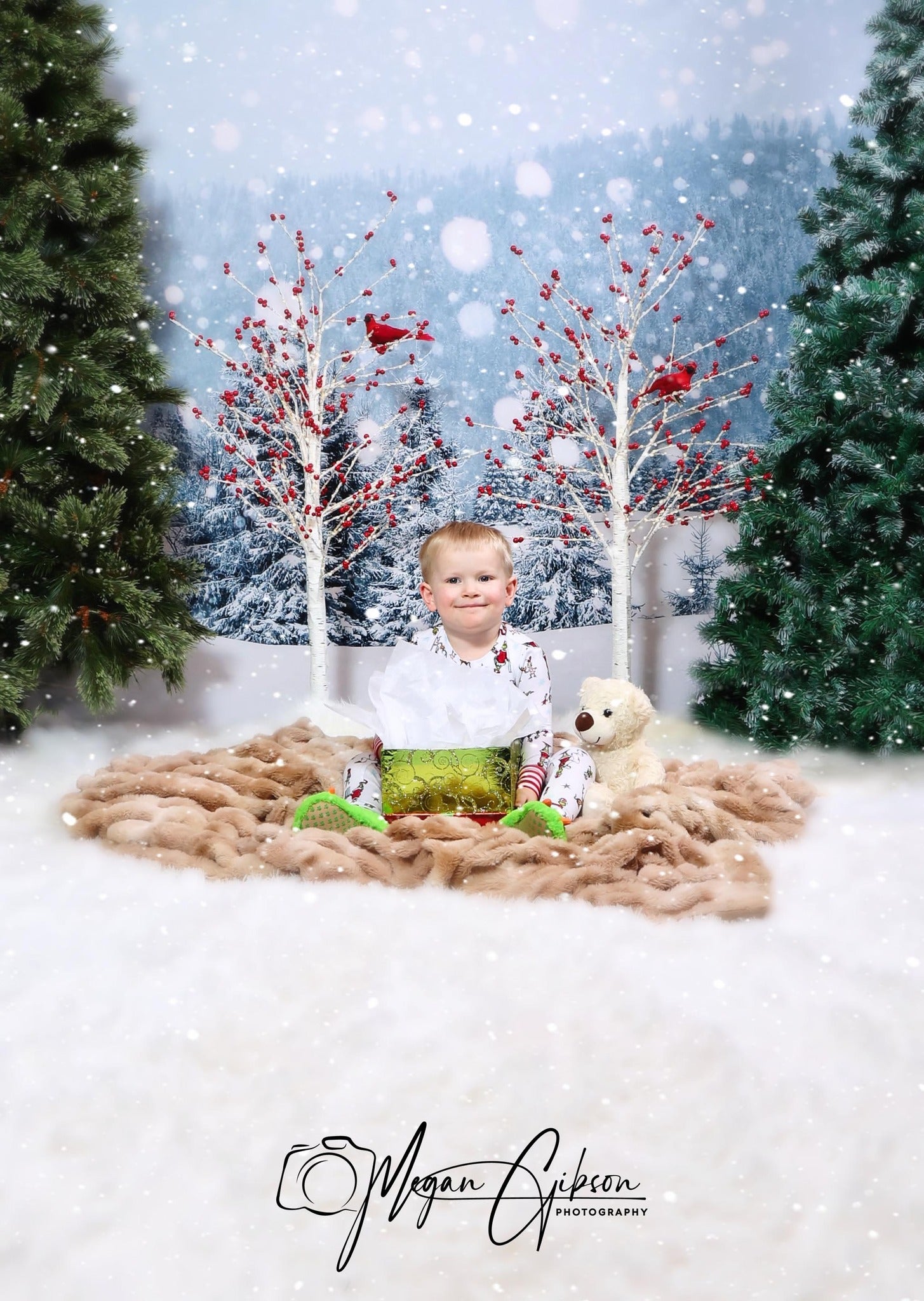 Graue Schnee Szene Hintergründe für Weihnachten GX-1074