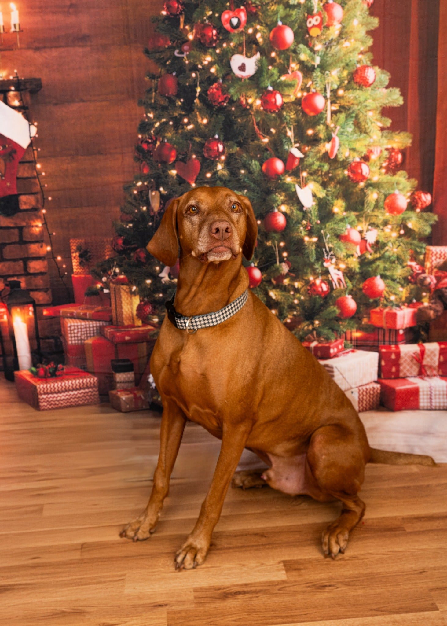 Weihnachten leuchtender Baum Kamin Geschenke Hintergrund M9-81